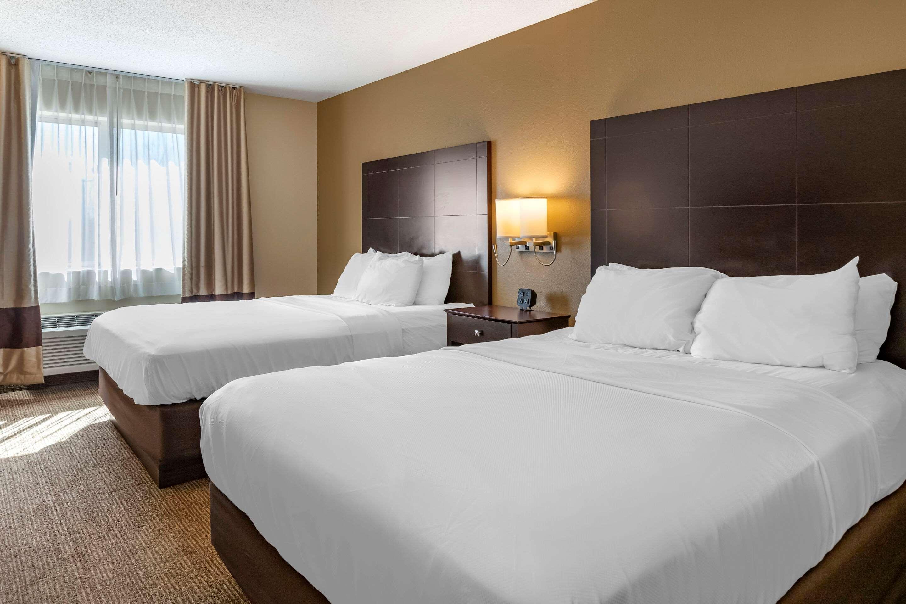 Paw Paw Comfort Inn & Suites מראה חיצוני תמונה