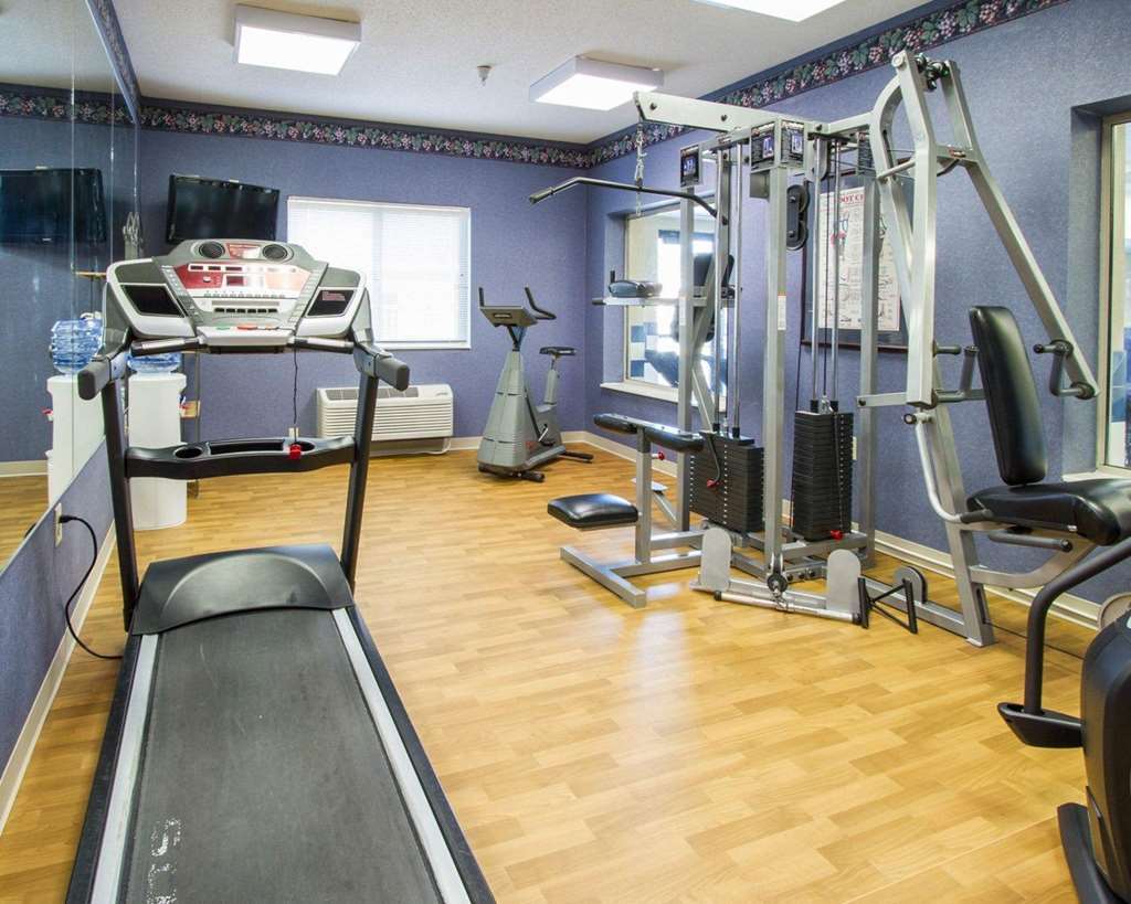 Paw Paw Comfort Inn & Suites מתקנים תמונה